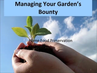 Managing Your Garden’s Bounty Home Food Preservation 