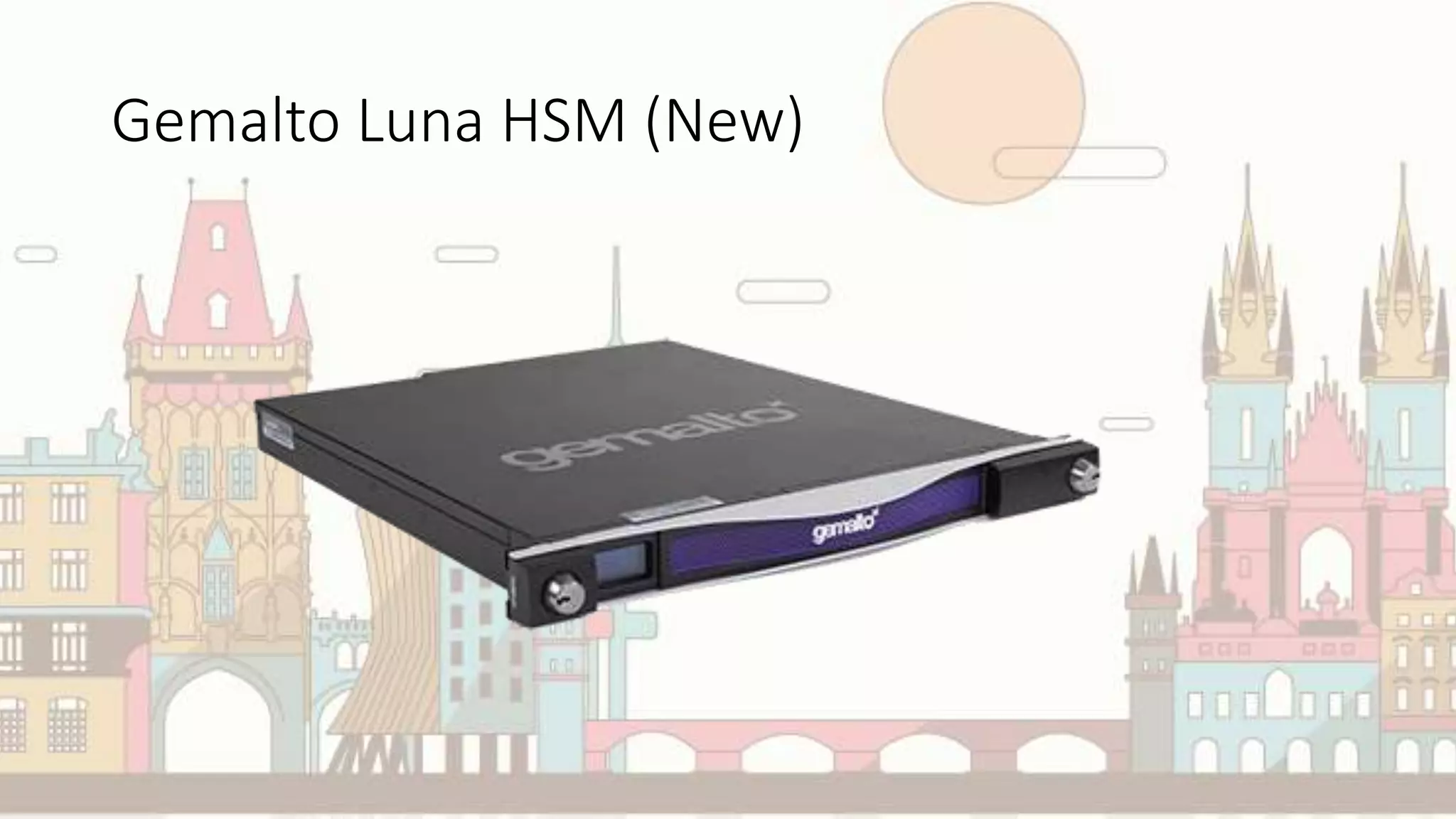 Gemalto Luna HSM (New)
 