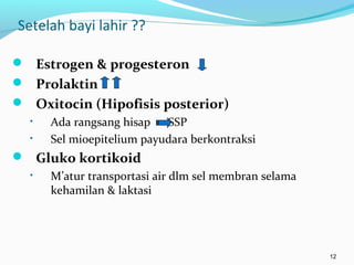 Setelah bayi lahir ??
 Estrogen & progesteron
 Prolaktin
 Oxitocin (Hipofisis posterior)
• Ada rangsang hisap SSP
• Sel mioepitelium payudara berkontraksi
 Gluko kortikoid
• M’atur transportasi air dlm sel membran selama
kehamilan & laktasi
12
 