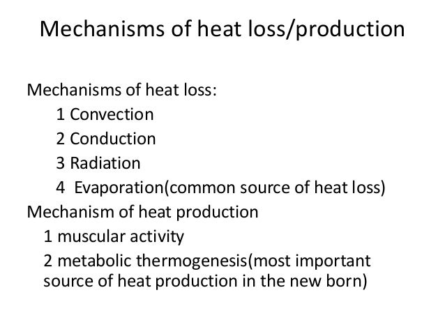 of mechanisms 4 loss heat neonates in Managment neonatal problems common of of mechanisms 4 loss heat neonates in Managment neonatal problems common of