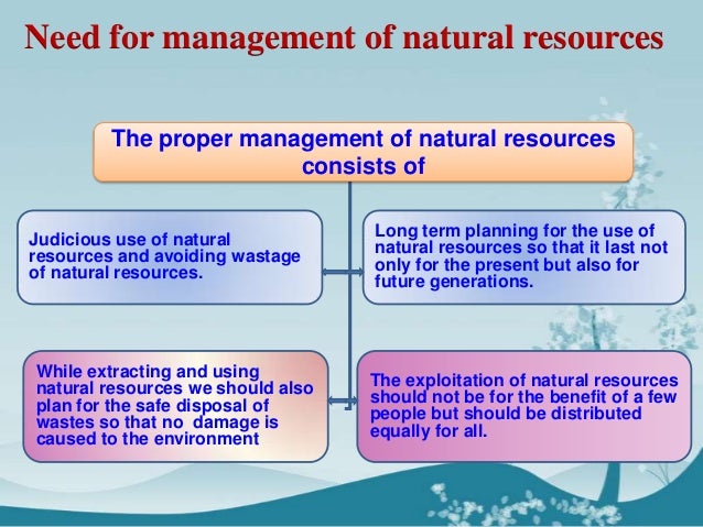 Term paper resources