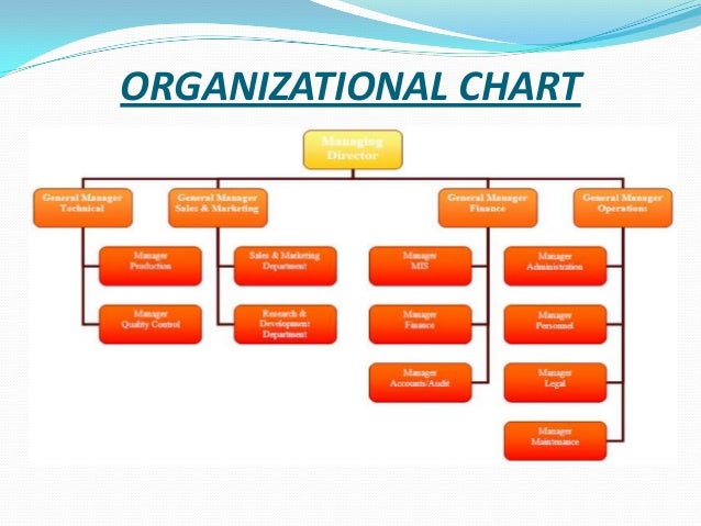 Pepsico Organizational Chart 2017