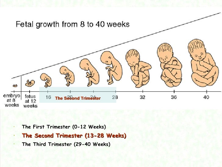 ibuprofen pregnancy first trimester hiccups pregnancy