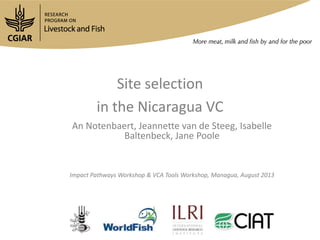 Site selection
in the Nicaragua VC
An Notenbaert, Jeannette van de Steeg, Isabelle
Baltenbeck, Jane Poole
Impact Pathways Workshop & VCA Tools Workshop, Managua, August 2013
 