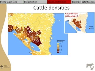 Managua sites selection Nicaragua