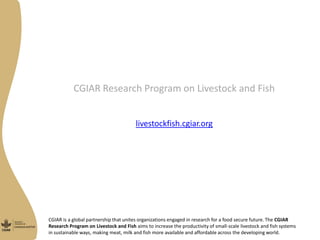 Managua sites selection Nicaragua