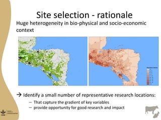 Managua sites selection Nicaragua