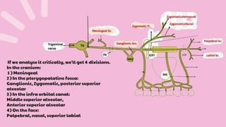 If we analyse it critically, we'll get 4 divisions.
In the cranium:
1 ) Meningeal
2 ) In the pterygopalatine fossa:
Ganglionic, Zygomatic, posterior superior
alveolar
3 ) In the infra orbital canal:
Middle superior alveolar,
Anterior superior alveolar
4) On the face:
Palpebral, nasal, superior labial
 