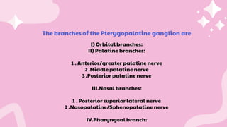 The branches of the Pterygopalatine ganglion are
I) Orbital branches:
II) Palatine branches:
1 . Anterior/greater palatine nerve
2 .Middle palatine nerve
3 .Posterior palatine nerve
III.Nasal branches:
1 . Posterior superior lateral nerve
2 .Nasopalatine/Sphenopalatine nerve
IV.Pharyngeal branch:
 