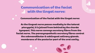 Communication of the facial
with the lingal nerve:
Communication of the facial with the lingal nerve:
As the lingual nerve passes medially to the lateral
pterygoid, it is joined from behind by the chorda
tympani. This nerve conveys secretory fibres from the
facial nerve. The parasympathetic secretory fibres control
the submandibular & sublingual salivary glands.
membrane of the posterior part of the oral cavity.
 