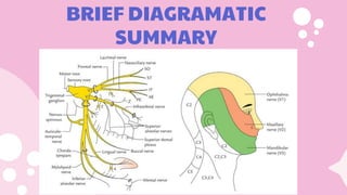 BRIEF DIAGRAMATIC
SUMMARY
 