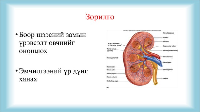 Амбуржийн арга | PPT