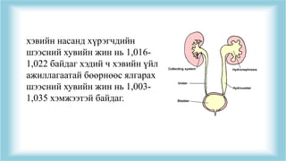 хэвийн насанд хүрэгчдийн
шээсний хувийн жин нь 1,016-
1,022 байдаг хэдий ч хэвийн үйл
ажиллагаатай бөөрнөөс ялгарах
шээсний хувийн жин нь 1,003-
1,035 хэмжээтэй байдаг.
 