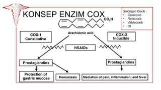 Coxib Manajemen-Nyeri-In-House-Training-RS-Sebening-Kasih.pptx