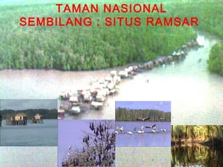 TAMAN NASIONAL
SEMBILANG : SITUS RAMSAR

 