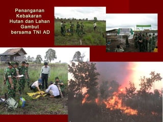 Penanganan
Kebakaran
Hutan dan Lahan
Gambut
bersama TNI AD

 