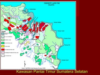 Kawasan Pantai Timur Sumatera Selatan

 