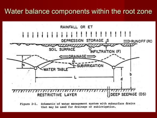 Water balance components within the root zone

 
