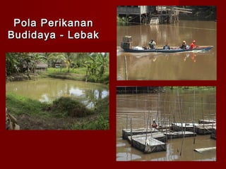 Pola Perikanan
Budidaya - Lebak

 