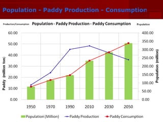 Population - Paddy Production - Consumption

 