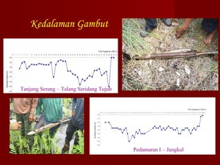 Kedalaman Gambut
Titik Pengeboran (500 m)
0 1

2 3

4 5

6 7

8 9 10 11 12 13 14 15 16 17 18 19 20 21 22 23 24 25 26 27 28 29 30 31 32 33 34 35 36 37 38 39 40 41 42 43

0,00
-1,00

-3,00
-4,00
-5,00
-6,00
-7,00

Tanjung Serang – Talang Seridang Tujuh

Titik Pengeboran (500 m)
40 41 42 43 44 45 46 47 48 49 50 51 52 53 54 55 56 57 58 59 60 61 62 63 64 65 66 67 68 69 70 71 72 73 74 75 76 77 78 79 80 81 82 83 84 85 86 87 88 89 90 91 92 93 94 95 96 97 98 99 100 101

0,00
-1,00

Ketebalan Gambut (m)

Ketebalan Gambut (m)

-2,00

-2,00
-3,00
-4,00
-5,00
-6,00
-7,00
-8,00

Pedamaran I – Jungkal

 