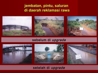 jembatan, pintu, saluran
di daerah reklamasi rawa

sebelum di upgrade

setelah di upgrade

 