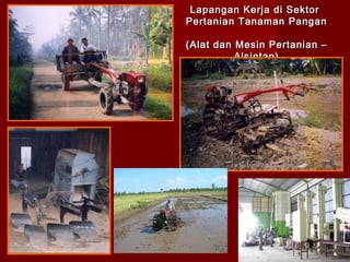Lapangan Kerja di Sektor
Pertanian Tanaman Pangan
(Alat dan Mesin Pertanian –
Alsintan)

 