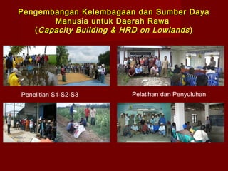 Pengembangan Kelembagaan dan Sumber Daya
Manusia untuk Daerah Rawa
( Capacity Building & HRD on Lowlands )

Penelitian S1-S2-S3

Pelatihan dan Penyuluhan

 