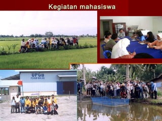 Kegiatan mahasiswa

 