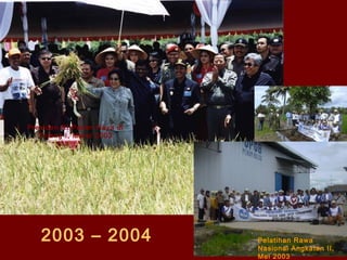 Presiden RI Panen Raya di
Telang I , Maret 2003

2003 – 2004

Pelatihan Rawa
Nasional Angkatan II,
Mei 2003

 