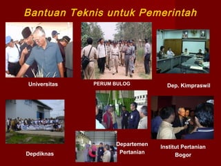 Bantuan Teknis untuk Pemerintah

Universitas

Depdiknas

PERUM BULOG

Departemen
Pertanian

Dep. Kimpraswil

Institut Pertanian
Bogor

 