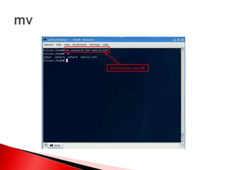 Manajemen file dan user