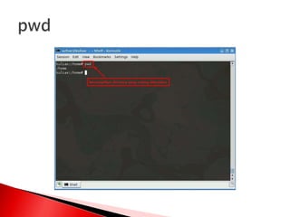 Manajemen file dan user