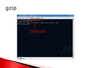 Manajemen file dan user