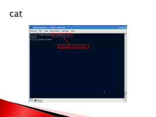 Manajemen file dan user