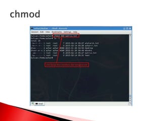 Manajemen file dan user