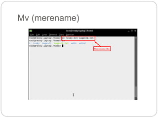 Mv (merename)