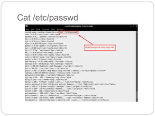 Cat /etc/passwd
