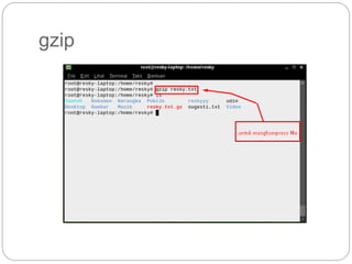gzip