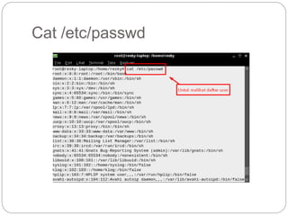 Cat /etc/passwd