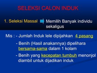 SELEKSI CALON INDUK
1. Seleksi Massal Memilih Banyak individu
sekaligus
Mis : - Jumlah Induk lele dipijahkan 4 pasang
- Benih (Hasil anakannya) dipelihara
bersama-sama dalam 1 kolam
- Benih yang kecepatan tumbuh menonjol
diambil untuk dijadikan induk
 