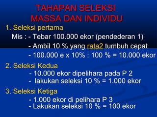 TAHAPAN SELEKSITAHAPAN SELEKSI
MASSA DAN INDIVIDUMASSA DAN INDIVIDU
1. Seleksi pertama
Mis : - Tebar 100.000 ekor (pendederan 1)
2. Seleksi Kedua
- lakukan seleksi 10 % = 1.000 ekor
3. Seleksi Ketiga
- Ambil 10 % yang rata2 tumbuh cepat
- 100.000 e x 10% : 100 % = 10.000 ekor
- 10.000 ekor dipelihara pada P 2
- 1.000 ekor di pelihara P 3
- Lakukan seleksi 10 % = 100 ekor
 