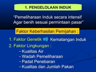 1. PENGELOLAAN INDUK
“Pemeliharaan Induk secara intensif
Agar benih sesuai permintaan pasar”
Faktor Keberhasilan Pemijahan :
1. Faktor Genetik Kematangan Induk
2. Faktor Lingkungan :
- Kualitas Air
- Wadah Pemeliharaan
- Padat Penebaran
- Kualitas dan Jumlah Pakan
 