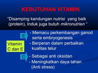 KEBUTUHAN VITAMIN
“Disamping kandungan nutrisi yang baik
(protein), Induk juga butuh mikronutrien “
Vitamin
C dan E
- Berperan dalam perbaikan
kualitas telur
E
- Sebagai anti oksidan
- Memacu perkembangan ganod
serta embryogenesis
C
- Meningkatkan daya tahan
(Anti stress)
 