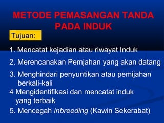 Tujuan:
METODE PEMASANGAN TANDA
PADA INDUK
1. Mencatat kejadian atau riwayat Induk
2. Merencanakan Pemjahan yang akan datang
3. Menghindari penyuntikan atau pemijahan
berkali-kali
4 Mengidentifikasi dan mencatat induk
yang terbaik
5. Mencegah inbreeding (Kawin Sekerabat)
 
