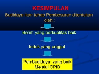 KESIMPULAN
Budidaya ikan tahap Pembesaran ditentukan
oleh :
Benih yang berkualitas baik
Induk yang unggul
Pembudidaya yang baik
Melalui CPIB
 