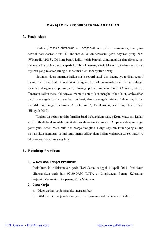 Budidaya Tanaman Sawi Putih Pdf