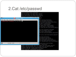 2.Cat /etc/passwd
 