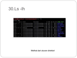 30.Ls -lh
Melihat dari ukuran direktori
 