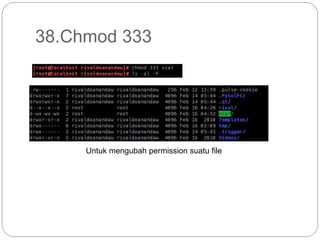 38.Chmod 333
Untuk mengubah permission suatu file
 